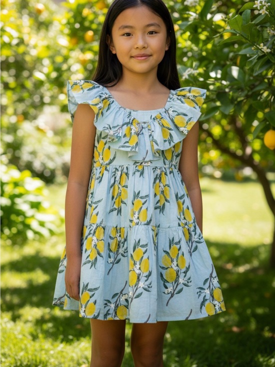 Pink Chicken Other - Pink Chicken | Lemon Branch Raphaela Dress | Ruffle | Tiered | Cotton